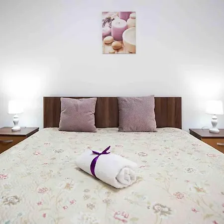 Camarad's House - Lovely In Apartment *