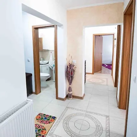 Camarad's House - Lovely In Apartment *