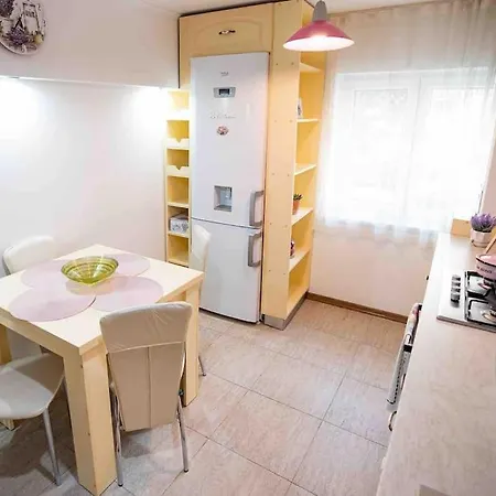 Apartment Camarad's House - Lovely In *